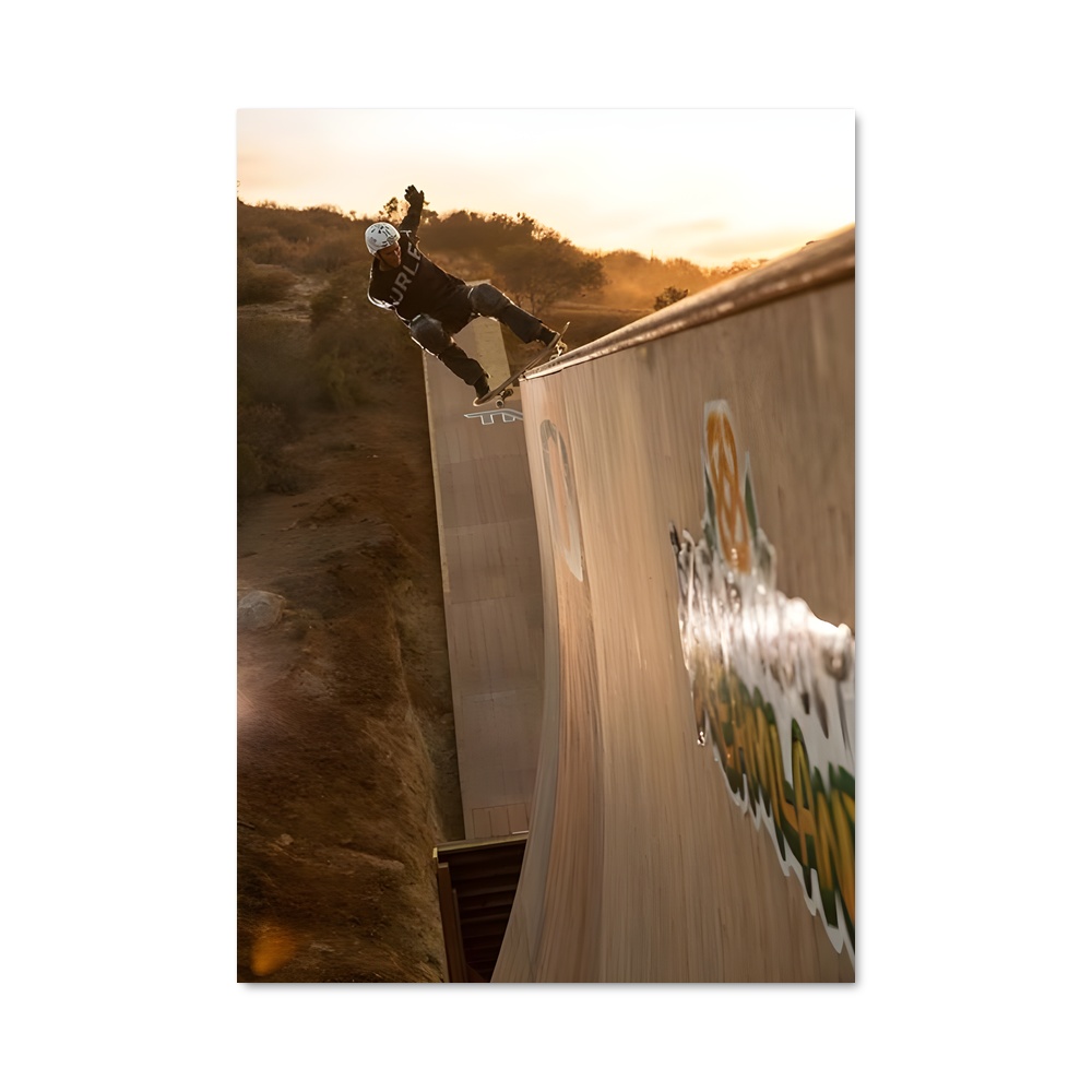 Poster Bob de burnquist – affiche Skateboard